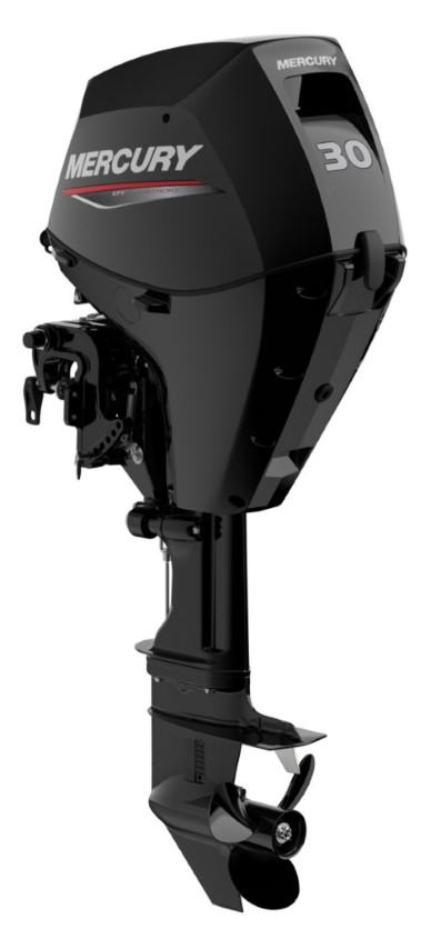 Mercury F 30 EFI